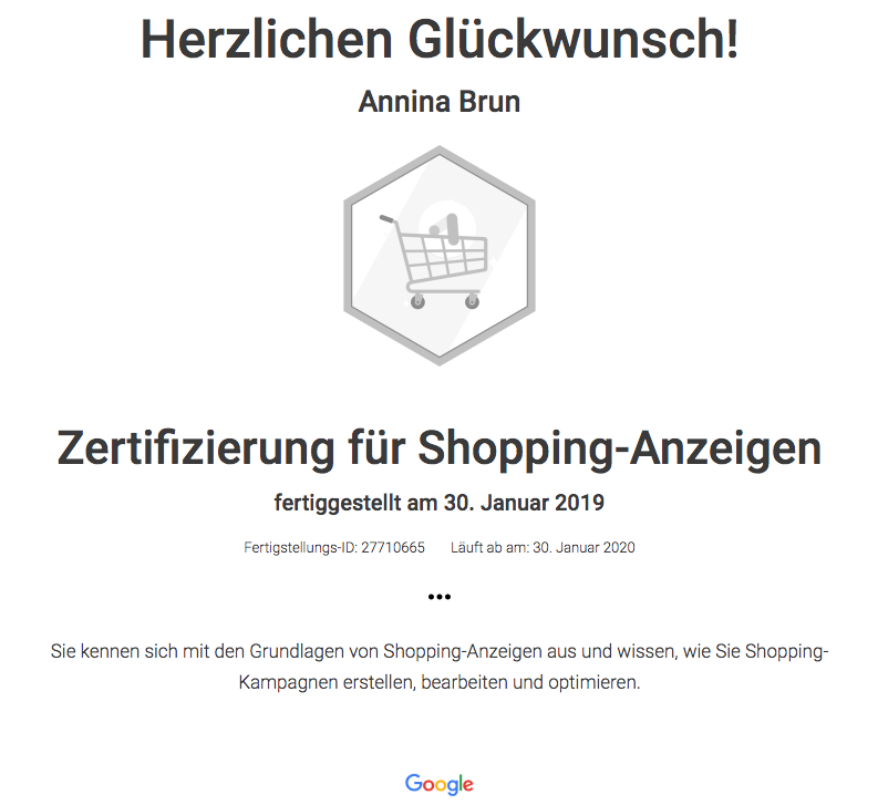 Zertifizierte Google-Partner Agentur
